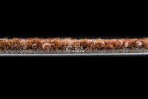 Desso Marvel 5221 фото 4 | FLOORDEALER